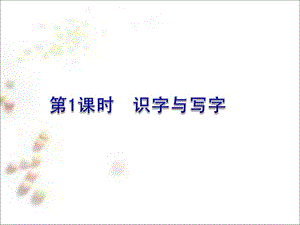 初中语文字词中考复习.ppt