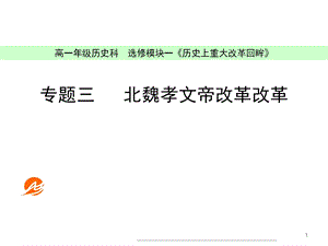 用：1：3北魏孝文帝改革改革(人民版选修1).ppt