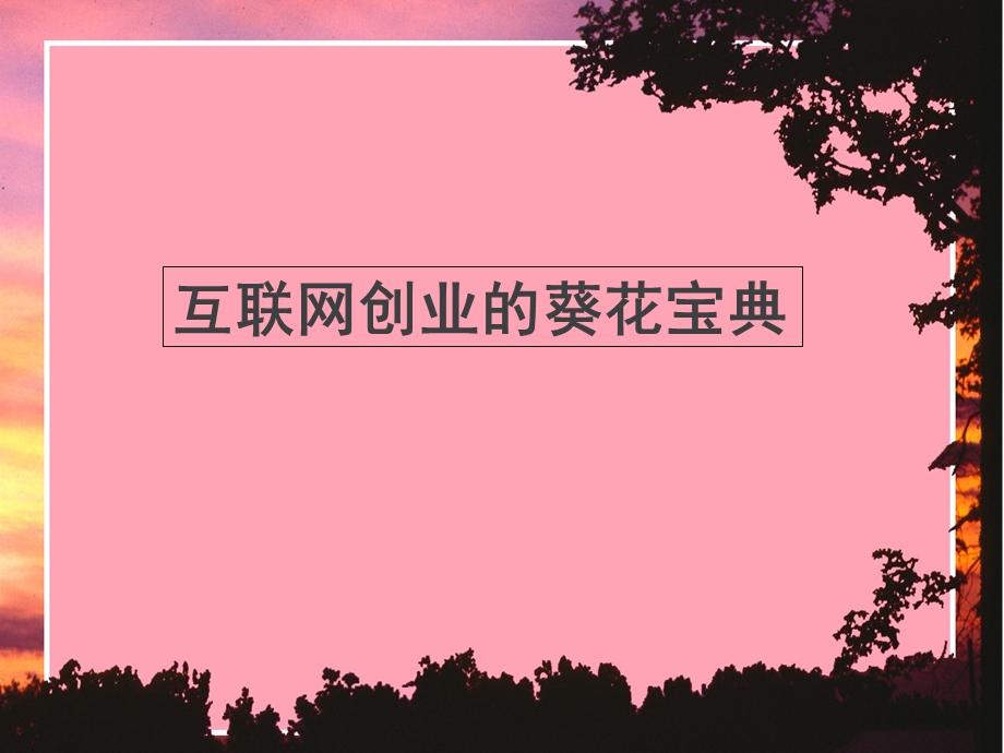 互联网创业的葵花宝典.ppt_第1页