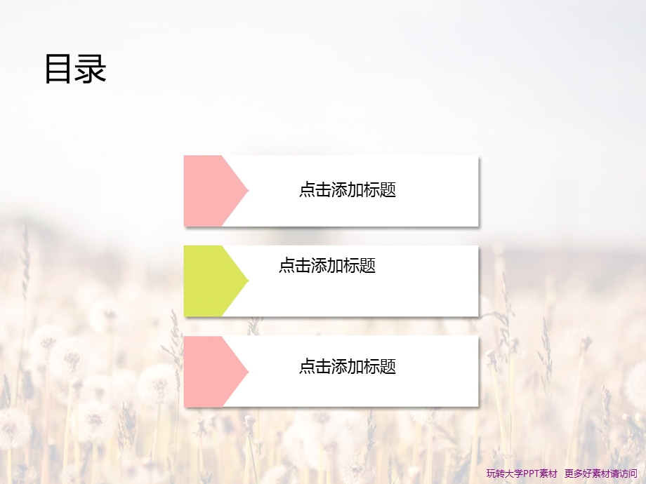 唯美淡雅蒲公英半透明效果.ppt_第2页