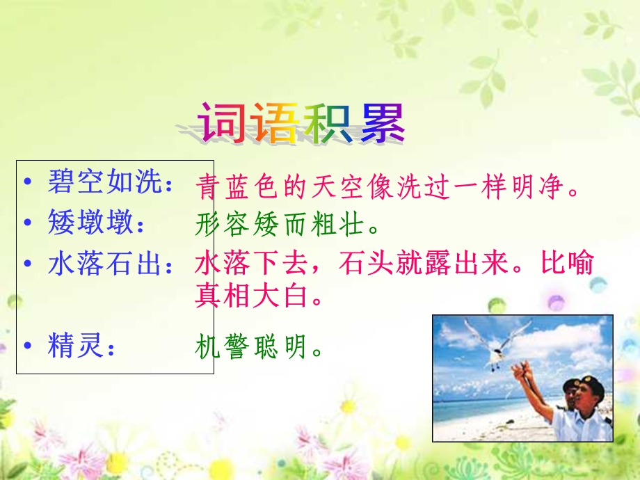 人教版小学语文六年级上册《彩色的翅膀》PPT课件.ppt_第2页