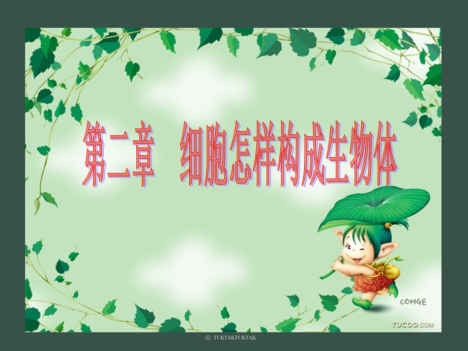 动物细胞的分化.ppt_第3页