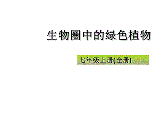 初中生物中考复习专题二、生物和细胞.ppt