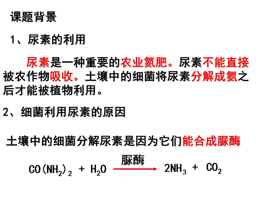 土壤中分解尿素的细菌的分离与计数.ppt_第2页