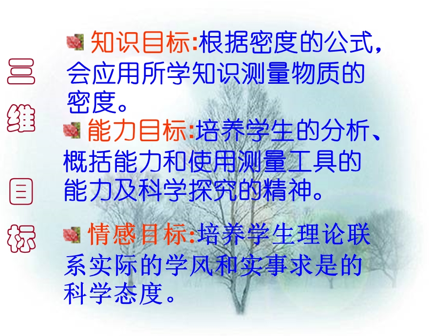 多种方法测物质的密度.ppt_第2页