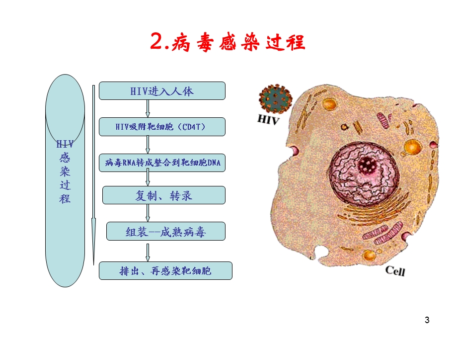 健康教育课件《抗击艾滋,从我做起》.ppt_第3页