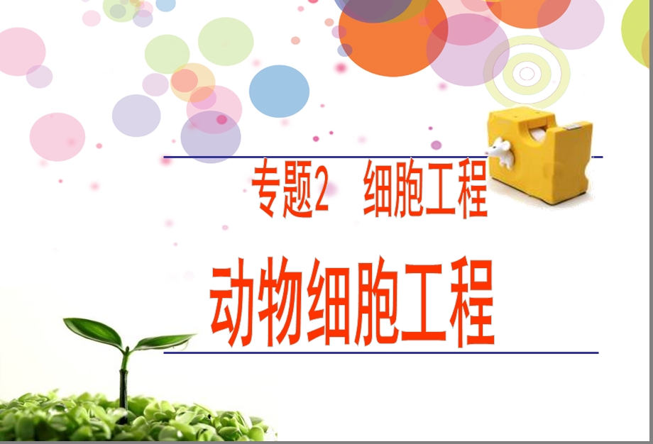 动物细胞培养和核移植技术.ppt_第1页