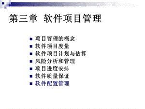 三章软件项目管理.ppt