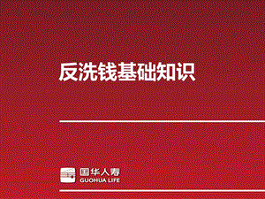 保险公司反洗钱基础知识.ppt