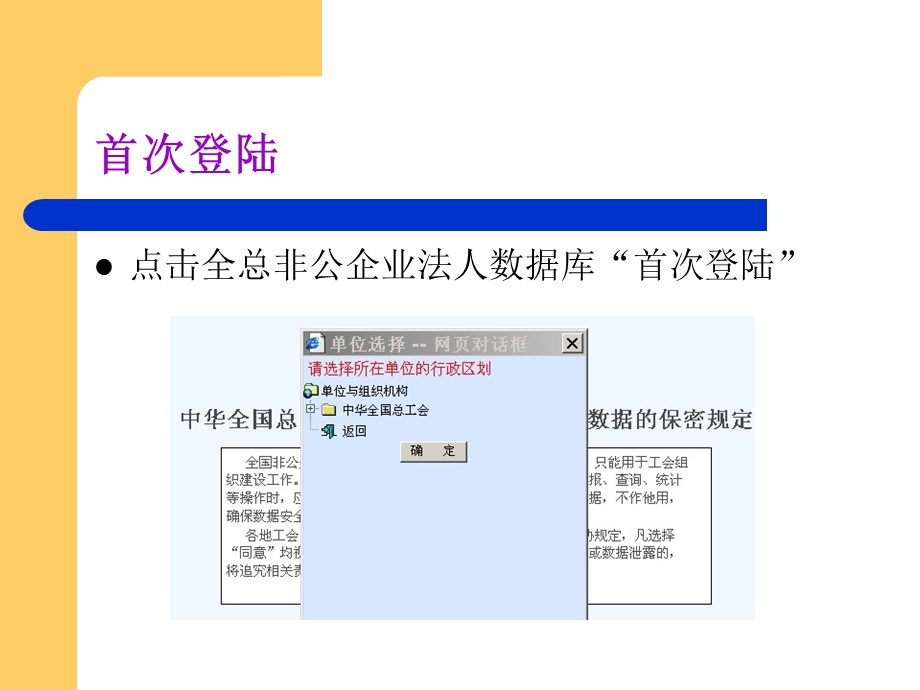 全总非公企业法人数据库管理软件使用说明.ppt_第3页