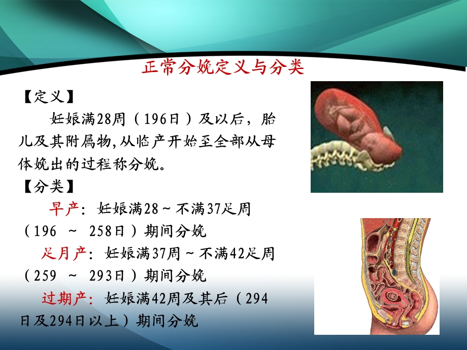 正常分娩改ppt课件.ppt_第2页