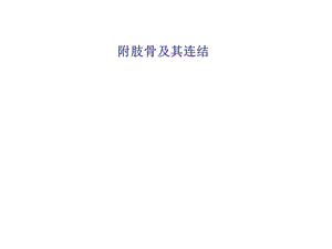 上下肢骨及其连结 ppt课件.ppt