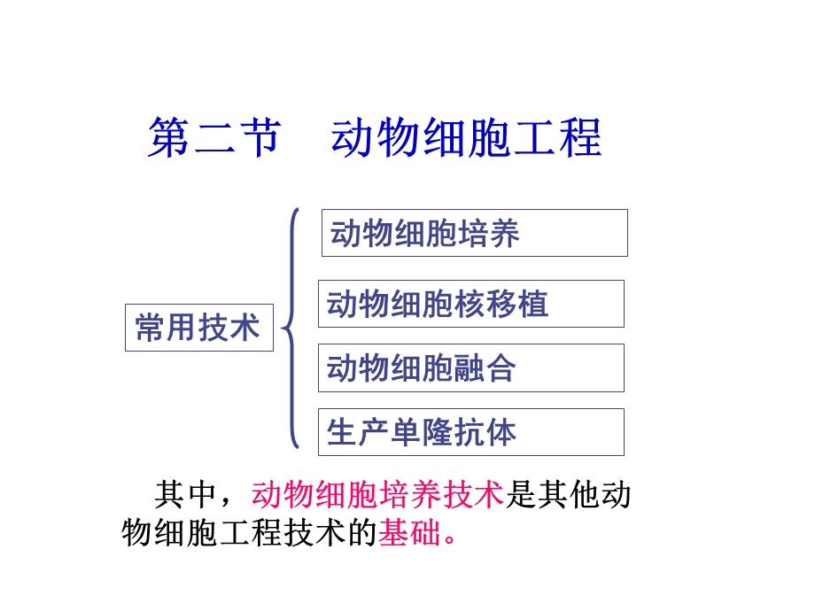 动物细胞工程课时.ppt_第1页