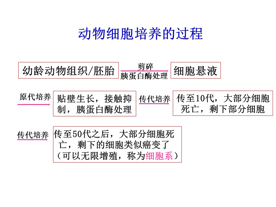 动物细胞工程课时.ppt_第3页