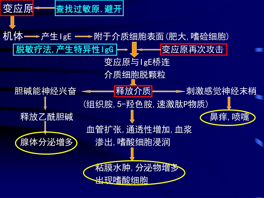 培训资料-鼻外伤出血过敏.ppt_第3页