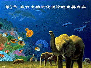 人教版教学课件现代生物进化理论真正上课用.ppt