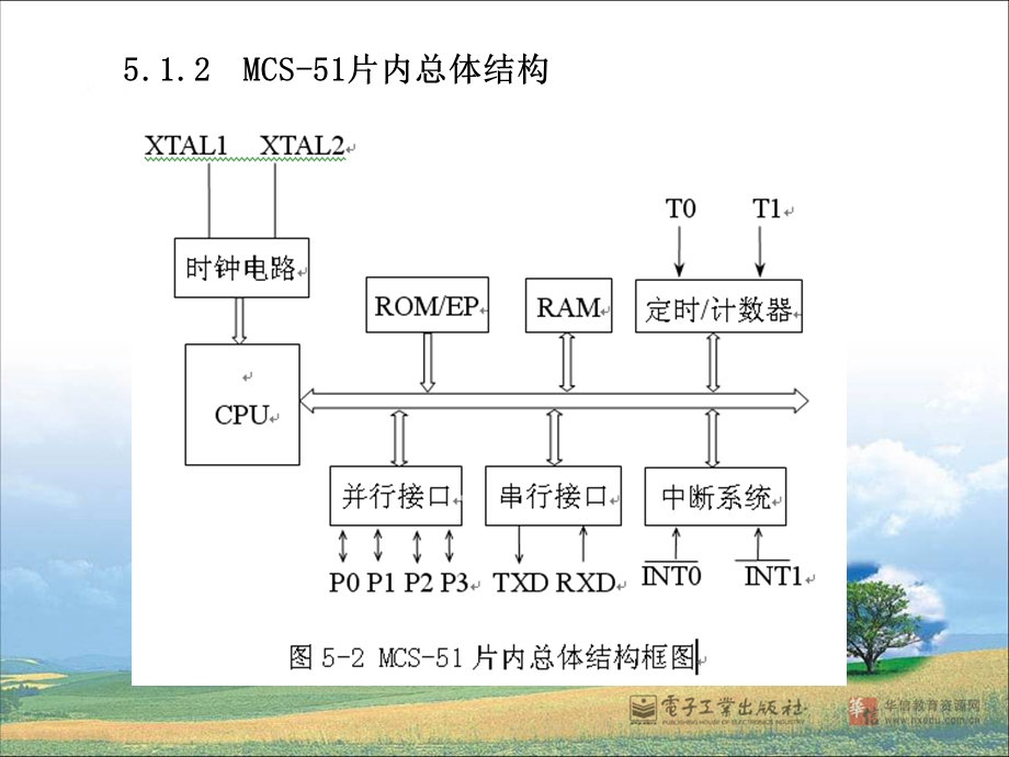 单片机及接口电路设计PPT.ppt_第3页