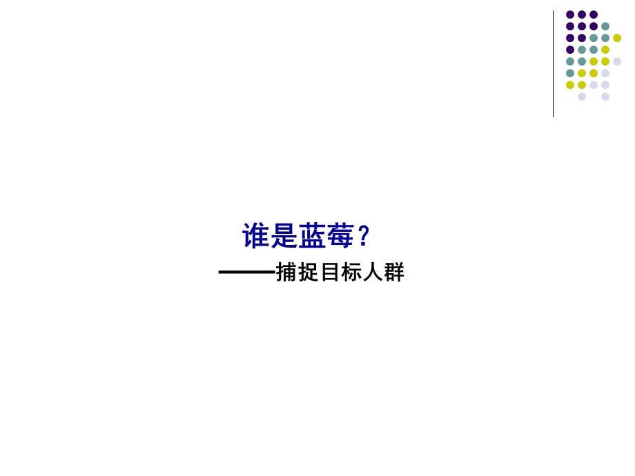 蓝莓公寓广告表现策略.ppt_第2页