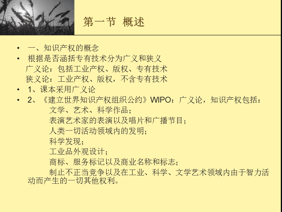 国际知识产权法.ppt_第2页