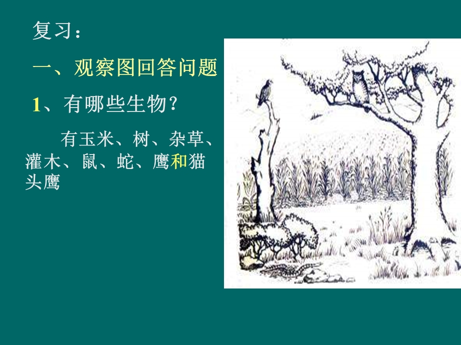 八年级生物动物与人类生活的关系.ppt_第1页