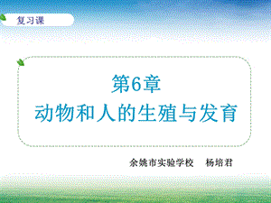 复习课动物和人的生殖与发育.ppt