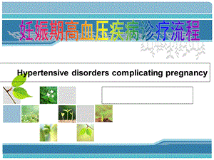 妊娠期高血压之动态血压.ppt