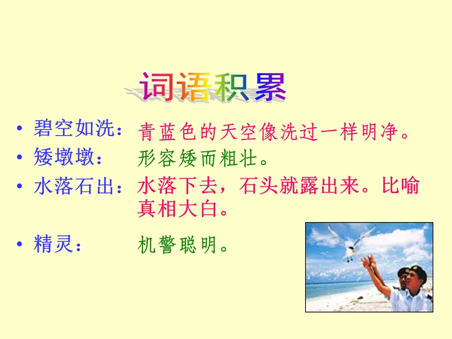 人教版六年级语文上册《彩色的翅膀》课件(精选).ppt_第2页