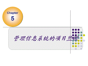 信息系统的项目监理.ppt