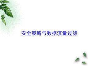 安全策略与数据流量过滤.ppt