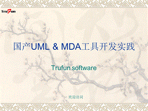 国产UMLMDA工具开发实践.ppt