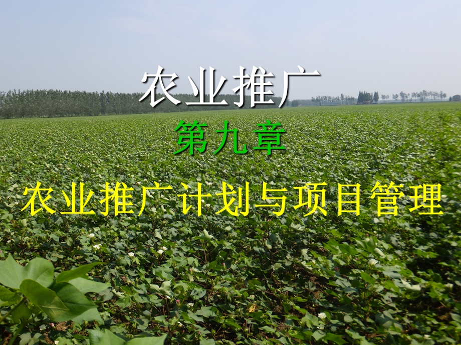 农业推广第九章农业推广计划与项目管理.ppt_第1页