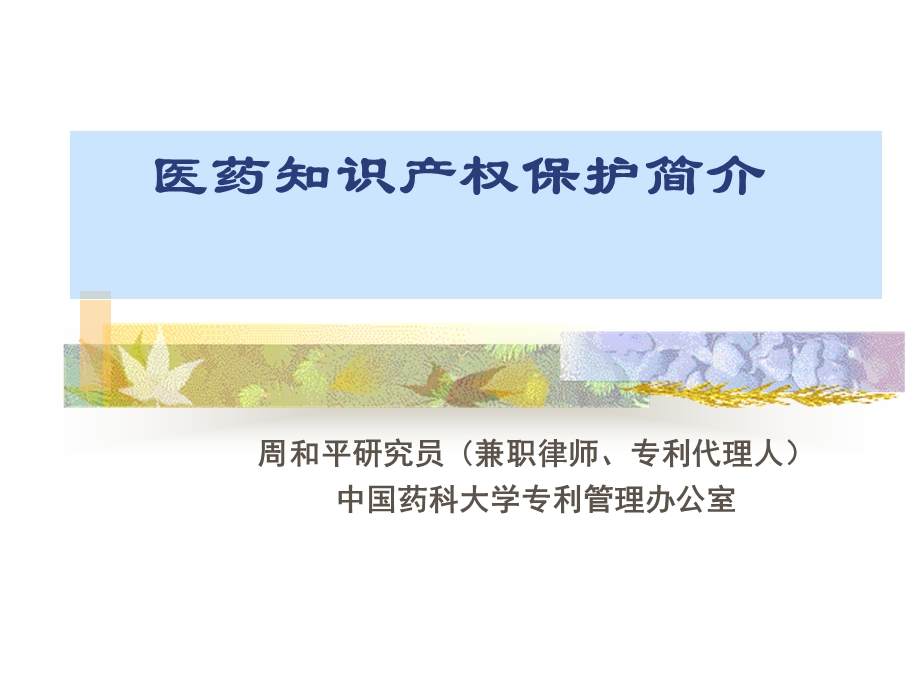 医药知识产权保护简介.ppt_第1页