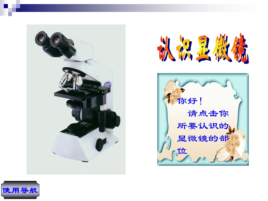 动物细胞形态观察.ppt_第2页