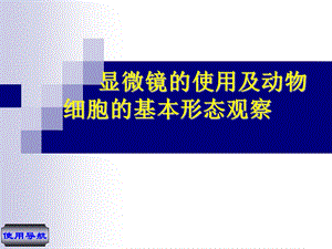 动物细胞形态观察.ppt