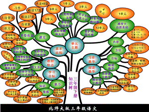 北师大三年下册知识树.ppt