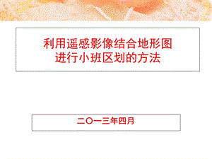 利用遥感影像进行小班区划.ppt