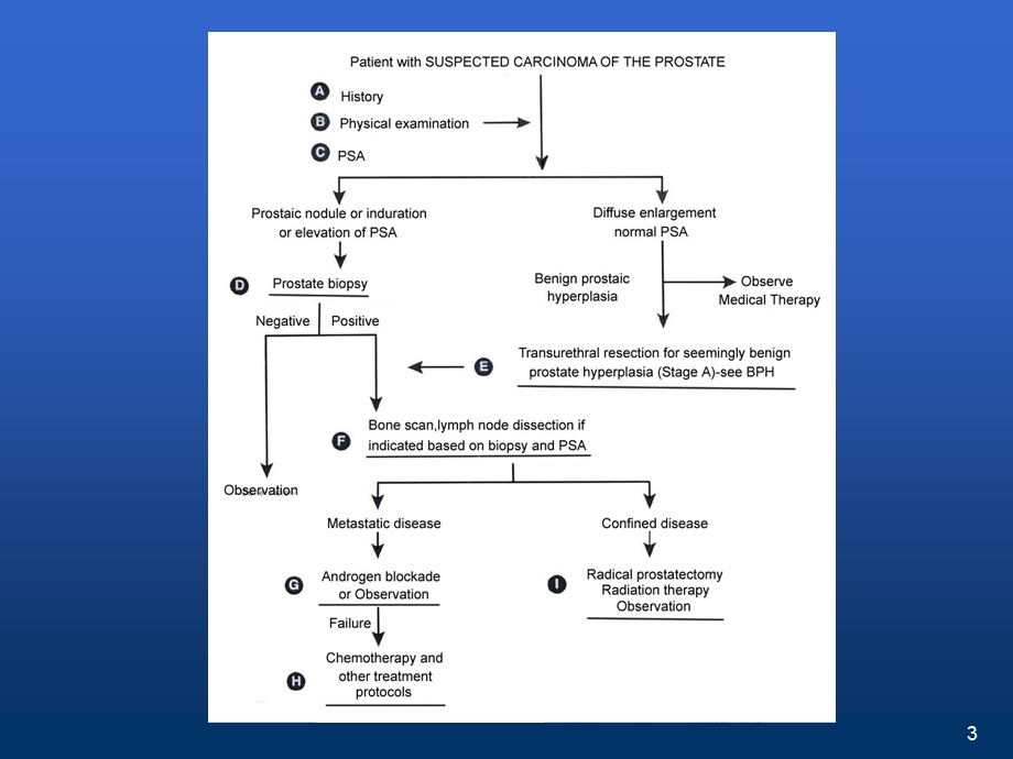 前列腺癌诊断治疗流程.ppt_第3页