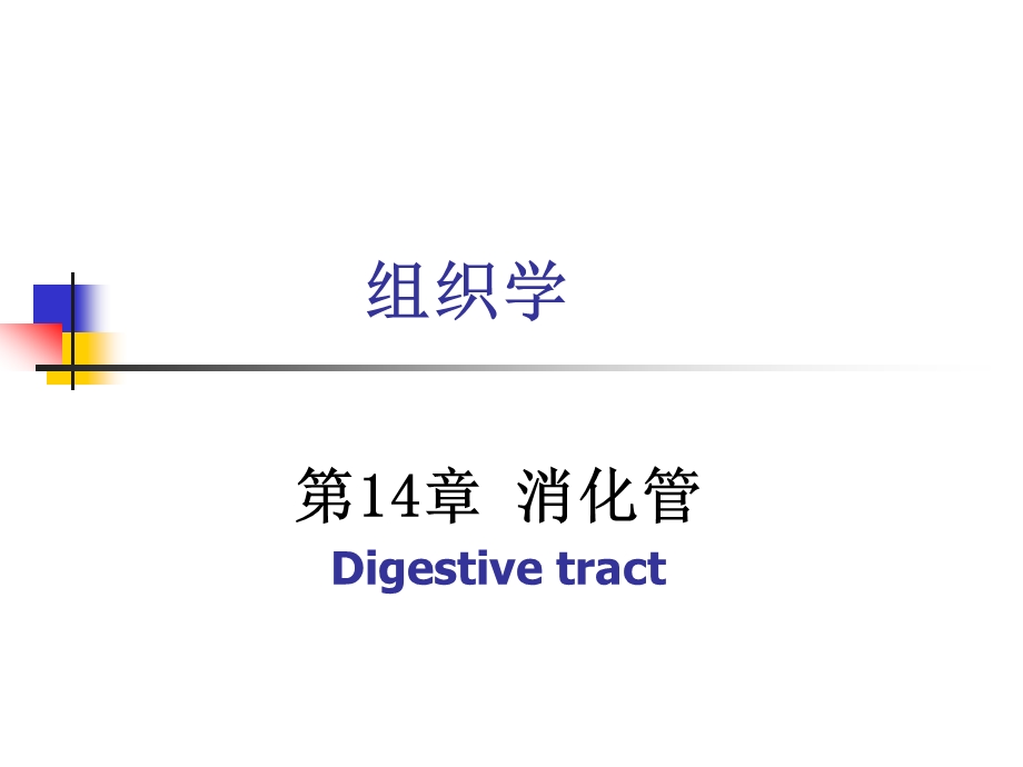 第章 消化管.ppt_第1页