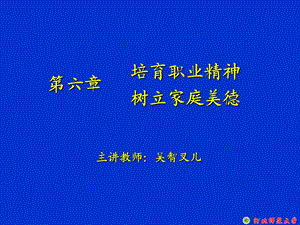 大学思修教案：第六章-培育职业精神树立家庭美德.ppt