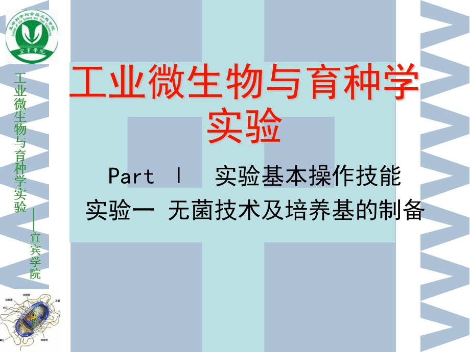 实验一无菌技术及培养基的配制.ppt_第1页