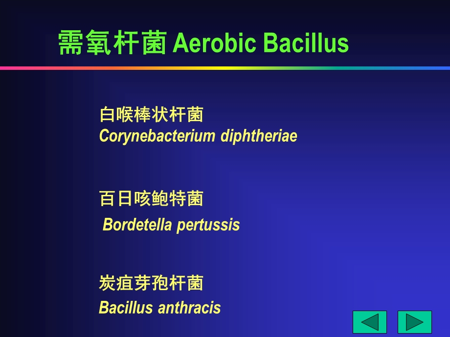 医学微生物-(鲁凤民)17x17需氧杆菌.ppt_第2页