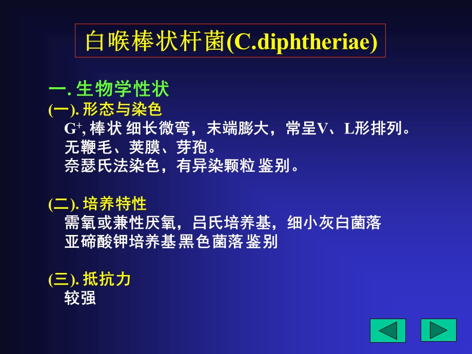 医学微生物-(鲁凤民)17x17需氧杆菌.ppt_第3页