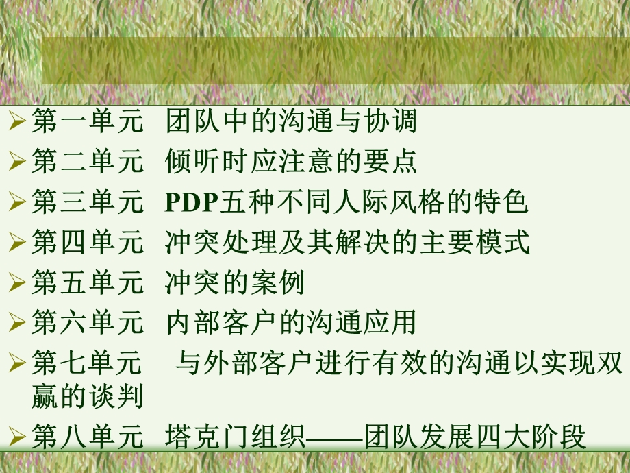 团队中的有效沟通.ppt_第2页