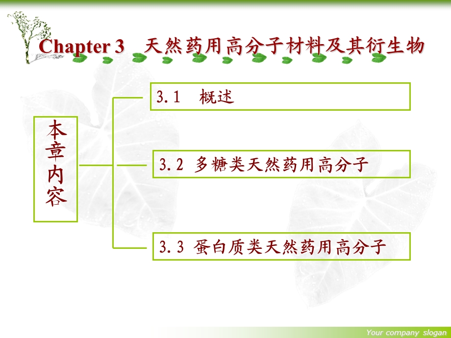 天然药用高分子材料及其衍生物.ppt_第1页