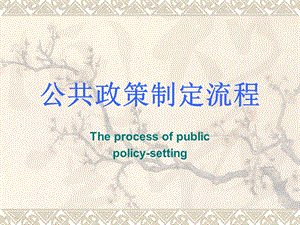 公共政策制定流程.ppt