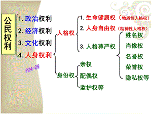 人教版八下第三课第二框同样的权利同样的爱护.ppt