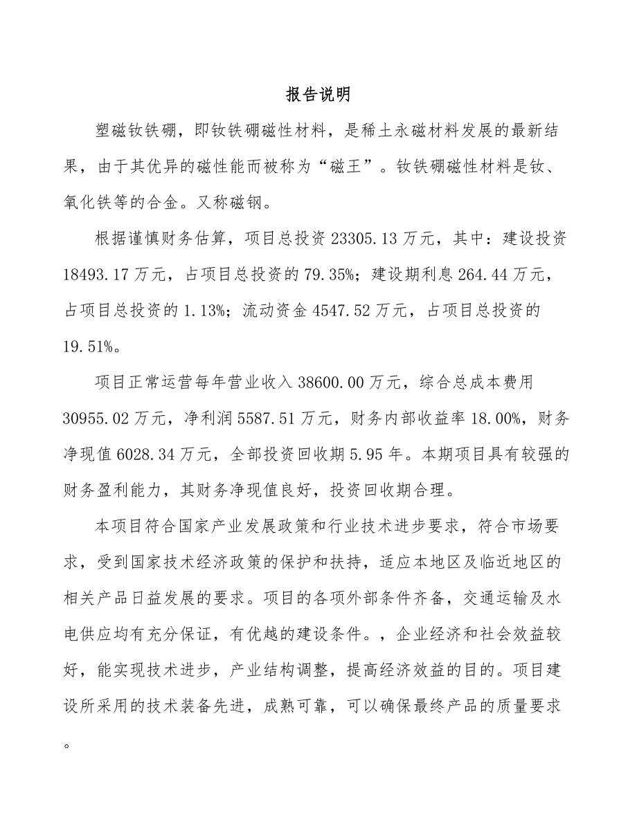 塑磁钕铁硼项目可行性研究报告范文.docx_第2页