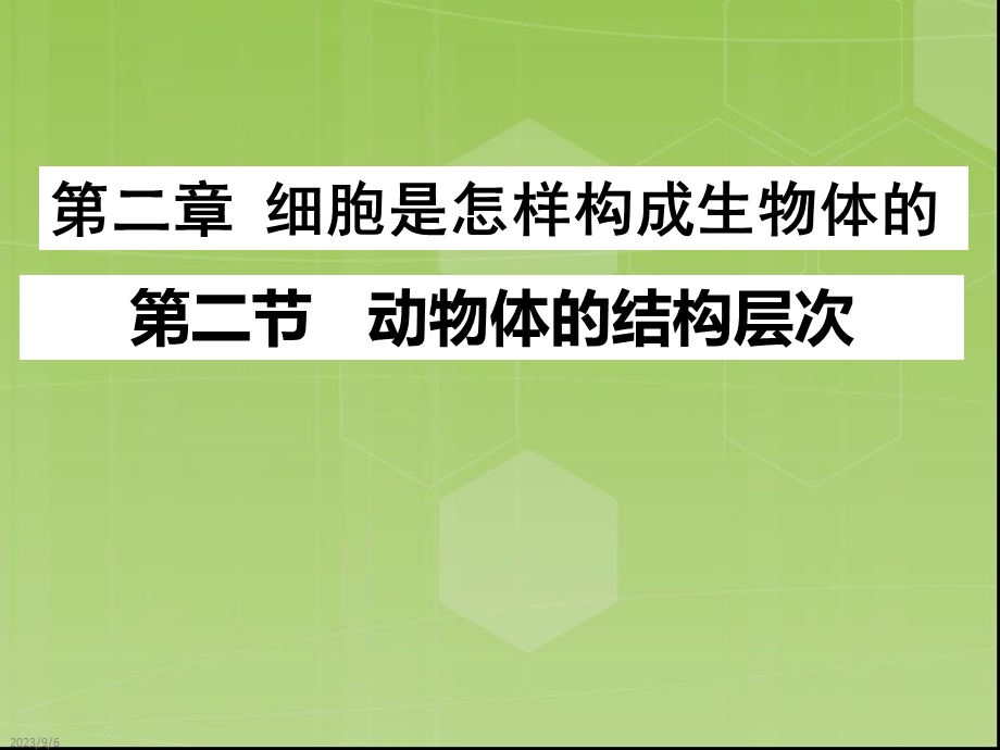 动物的结构层次.ppt_第3页