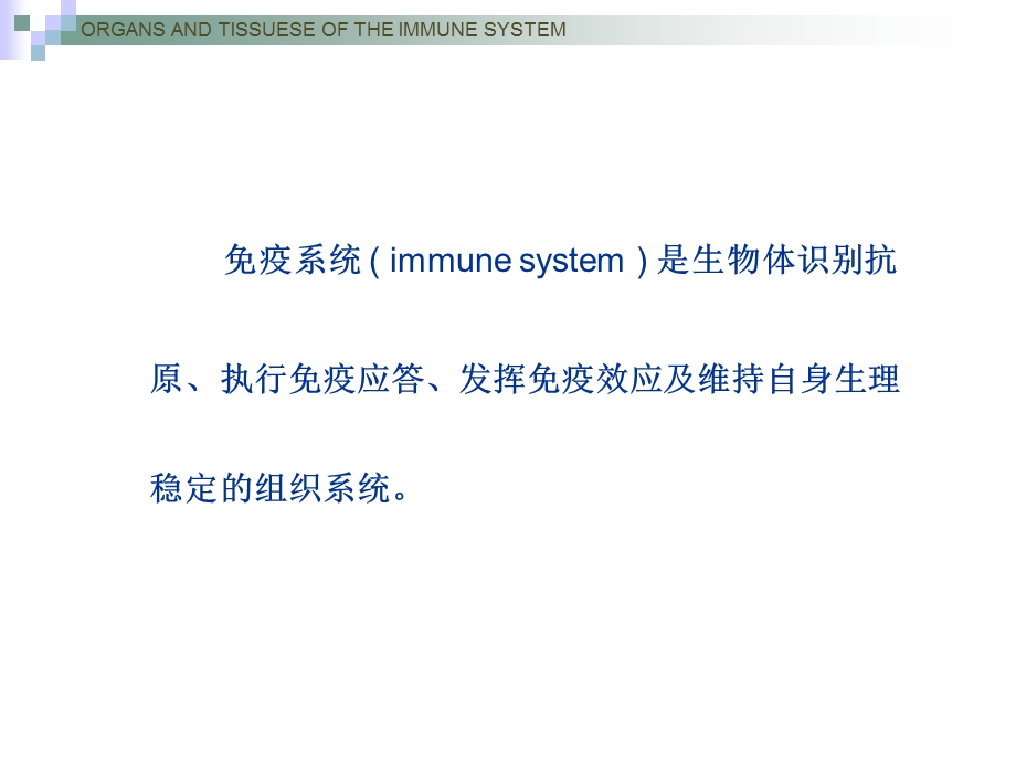 免疫器官和组织.ppt_第2页