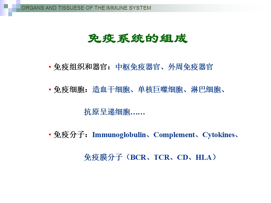 免疫器官和组织.ppt_第3页